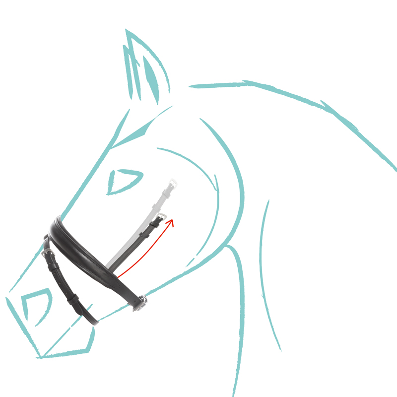 Narrow combined noseband "Cre8" special size Narrow combined noseband "Cre8" special size
