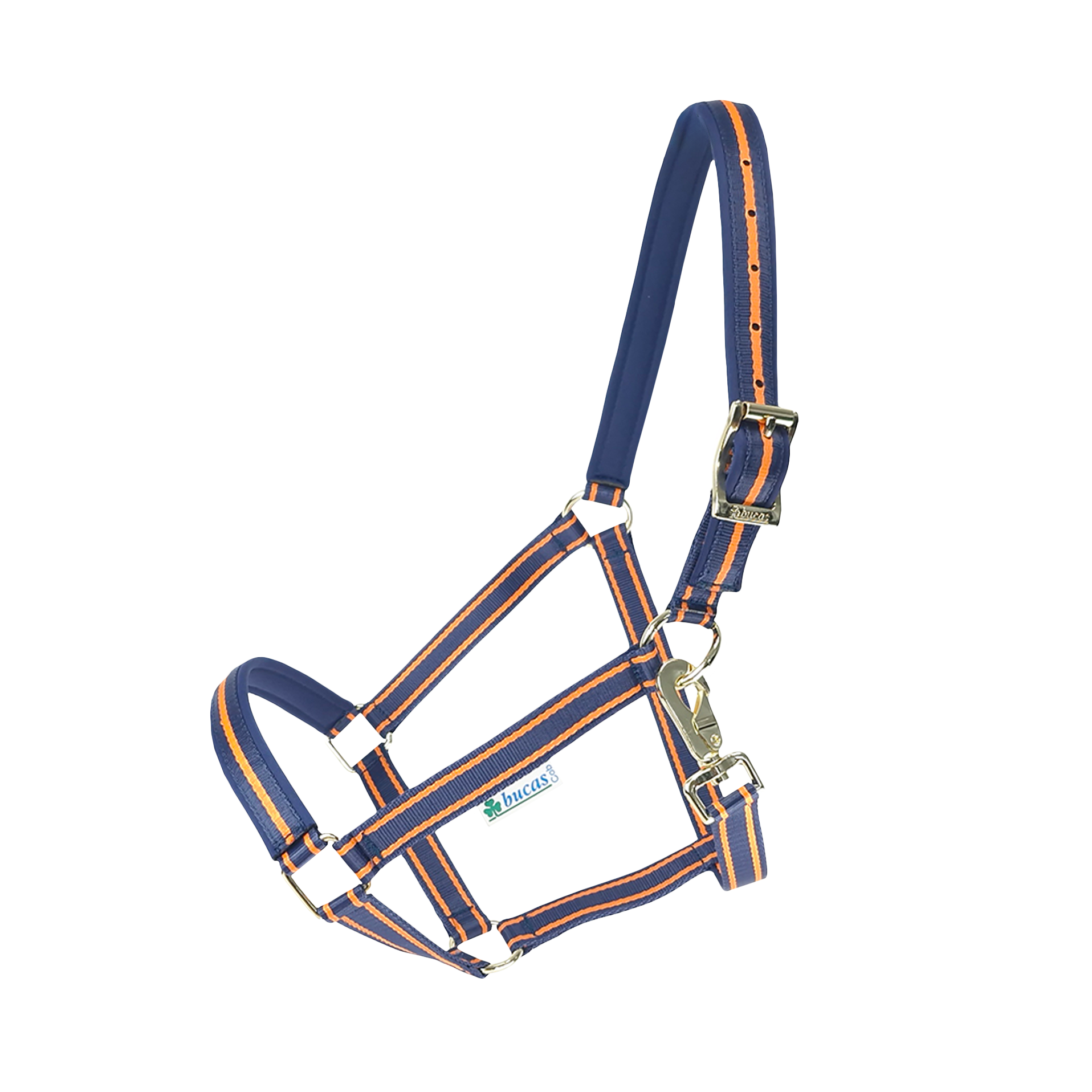 Halfter Dublin in Navy/Orange