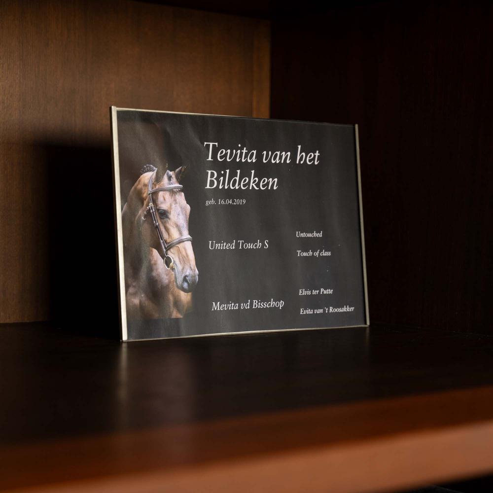 Stable name plate with Plexiglas
