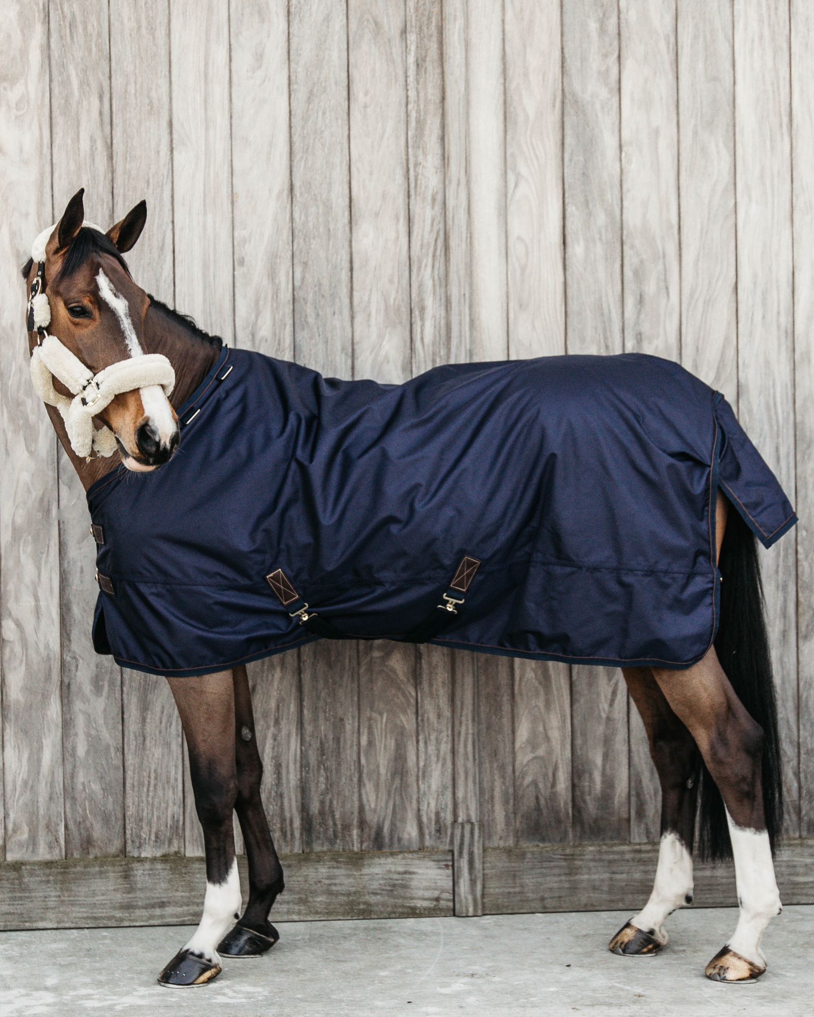Outdoor rug All Weather waterproof Pro 300g