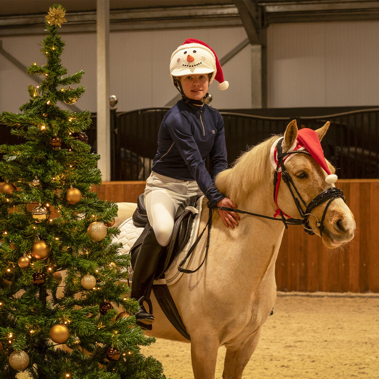 Christmas riding helmet cover