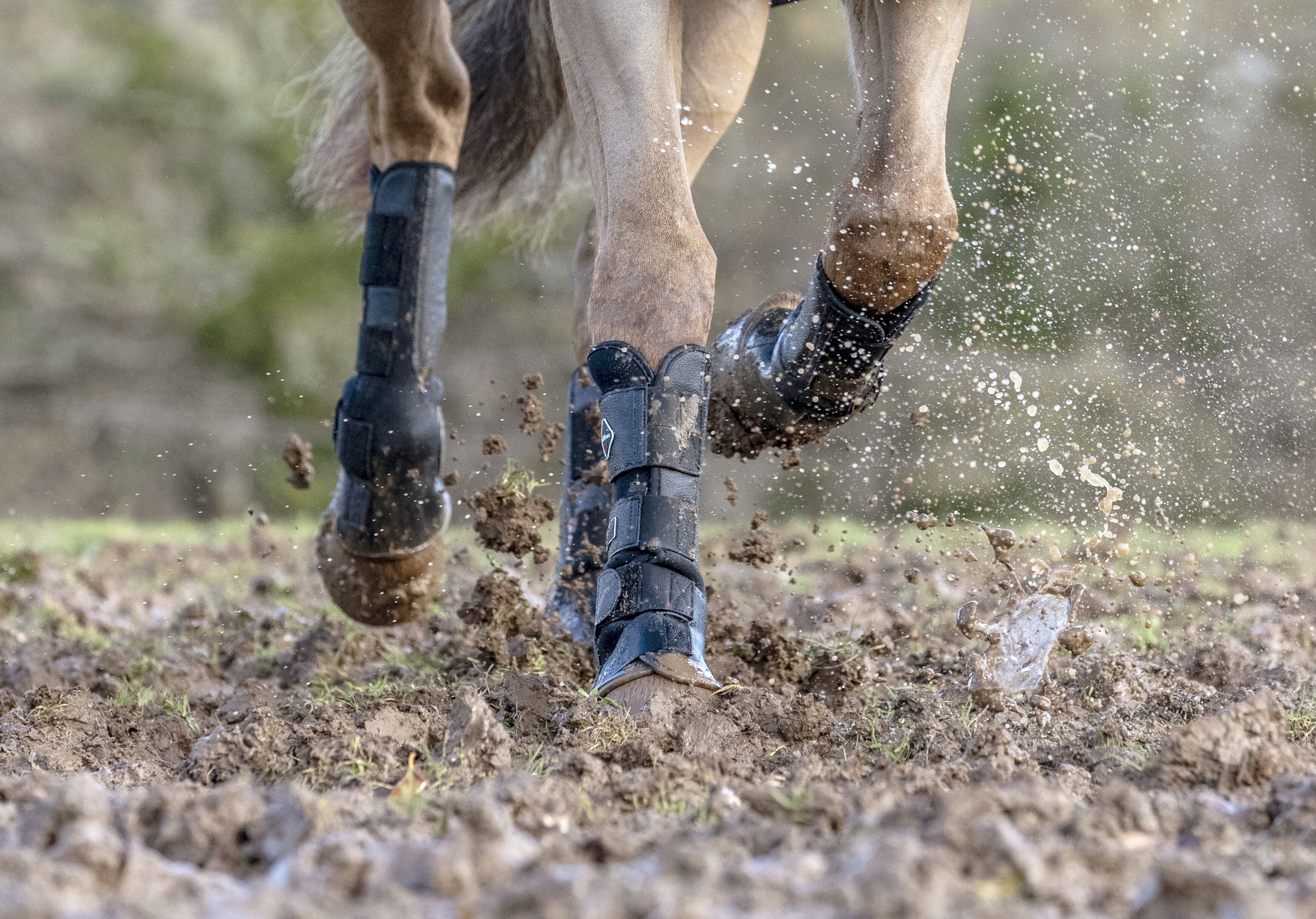 Turnout boots
