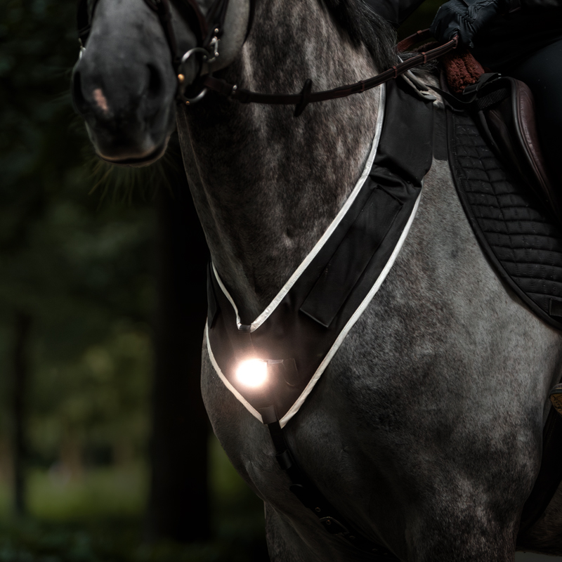 Breastplate "Horselight"-white front light