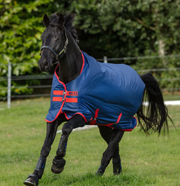 Mio Turnout Lite 0g outdoor rug Mio Turnout Lite 0g outdoor rug