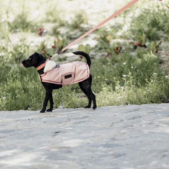 Dog coat waterproof 160g