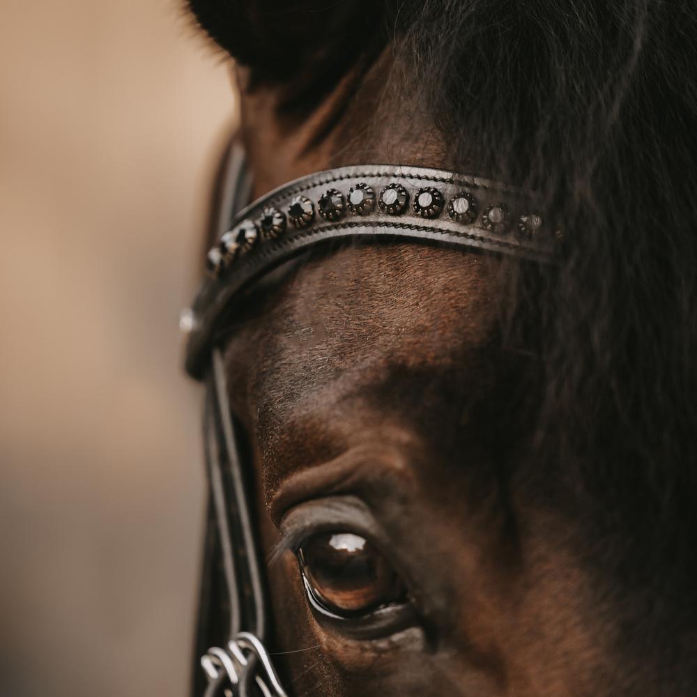 Stirnriemen in V-Form mit schwarzen Swarovskikristallen Stirnriemen in V-Form mit schwarzen Swarovskikristallen