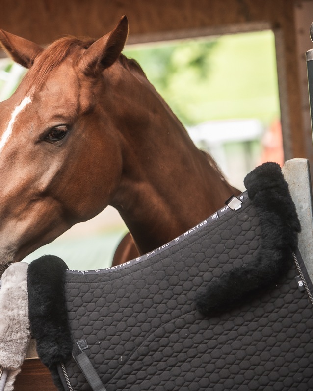 Dressage saddle pad Eurofit