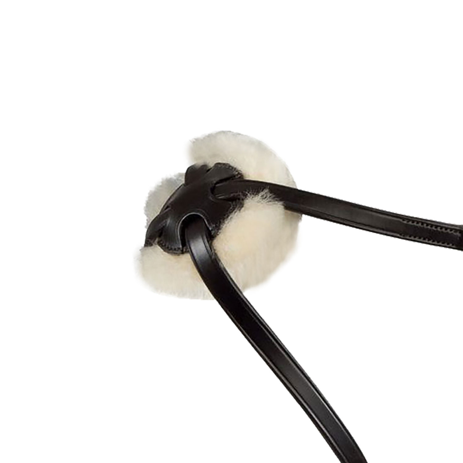 Lederzaum mit mexikanischem Reithalfter