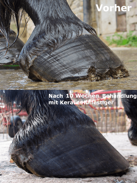 Hoof strengthener 250ml