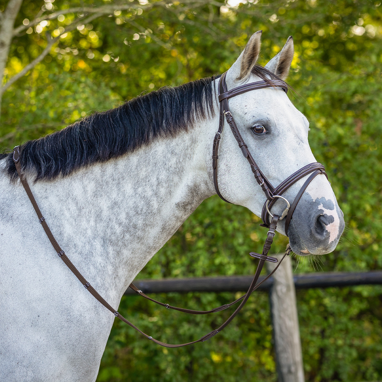 Snaffle with luxury stitching