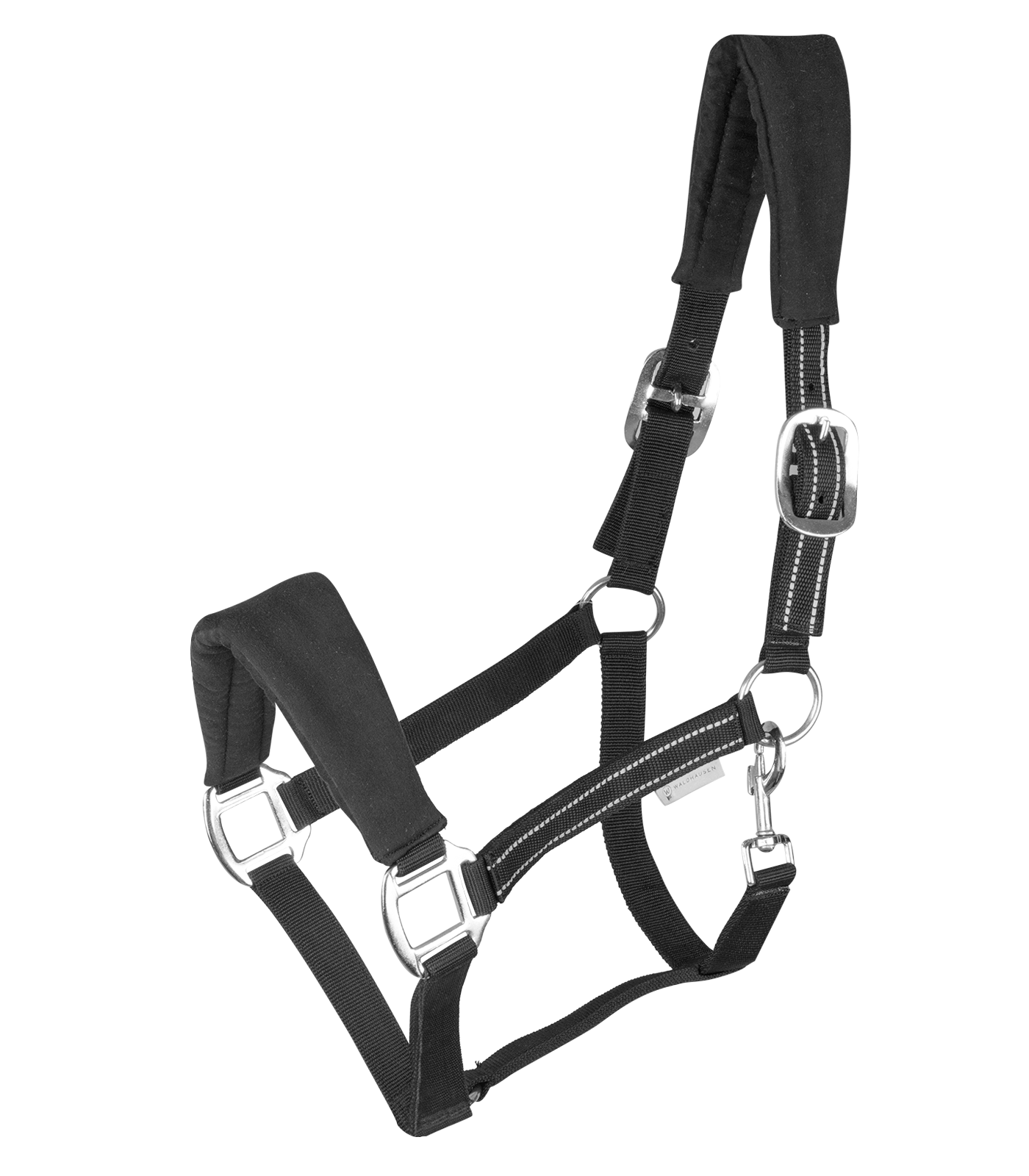 Halfter Alcantara Halfter Alcantara