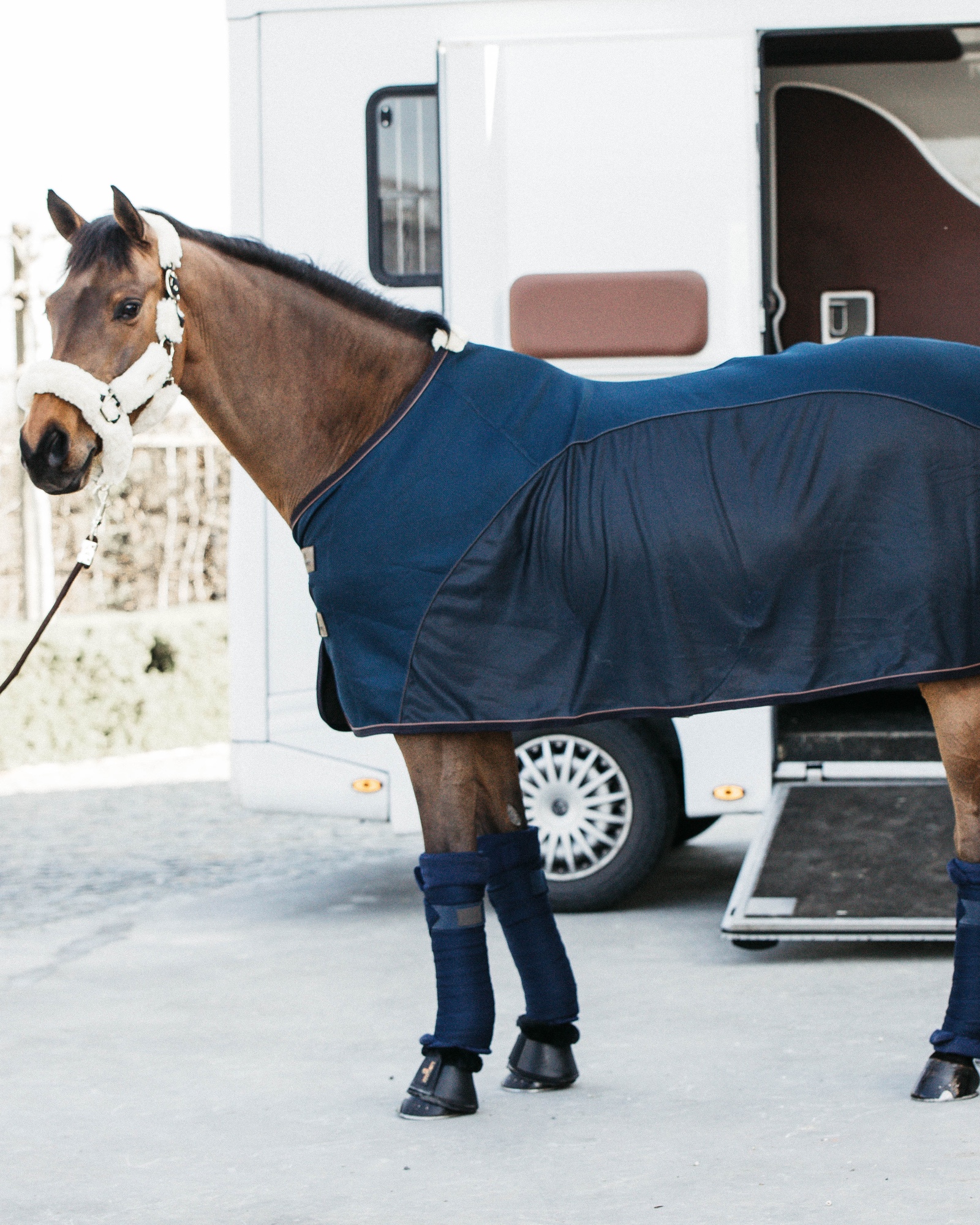 Fly rug fly combi