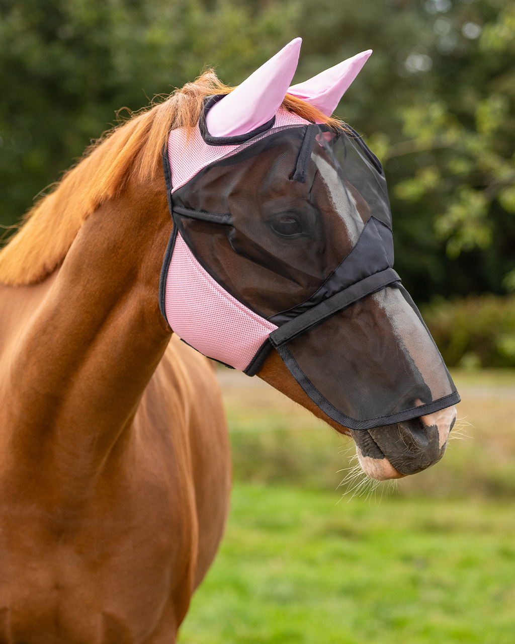 Fly mask with removable nose protection Fly mask with removable nose protection