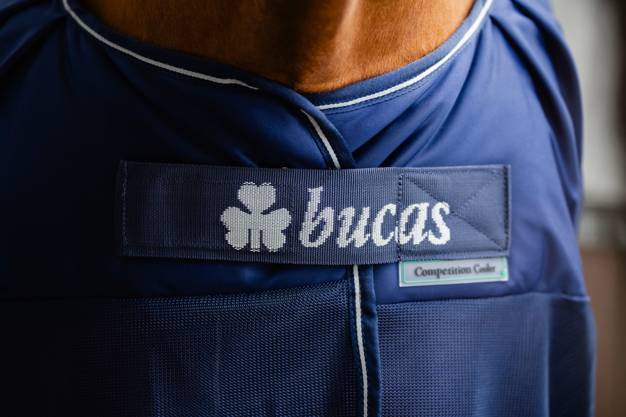 Abschwitzdecke Competition Cooler in Navy