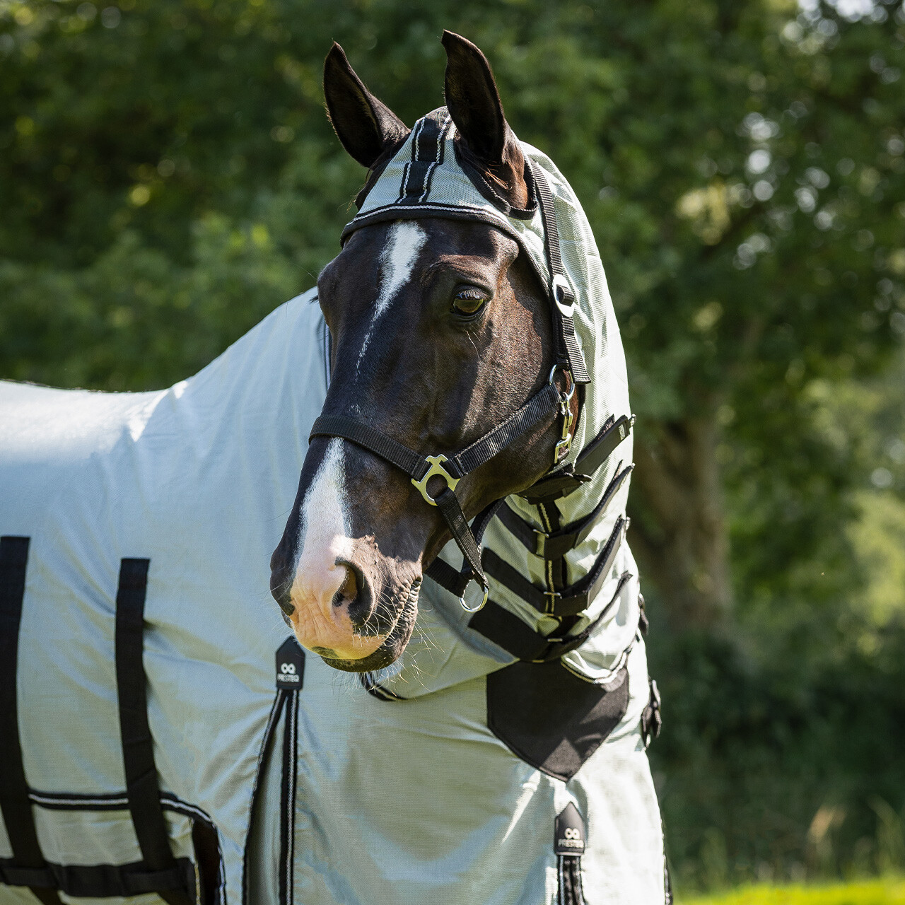 Fly rug SmartProtection