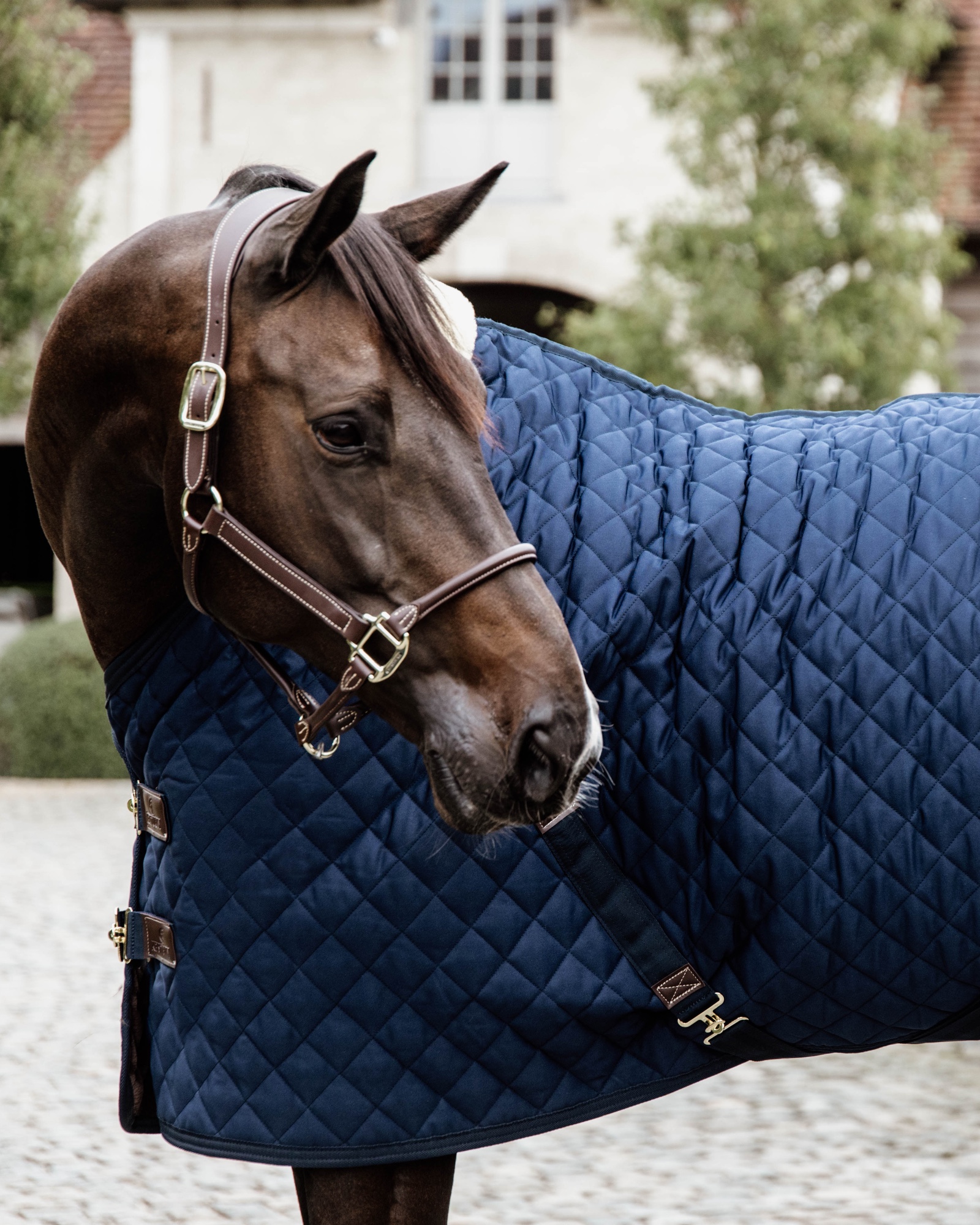 Stable blanket 200g