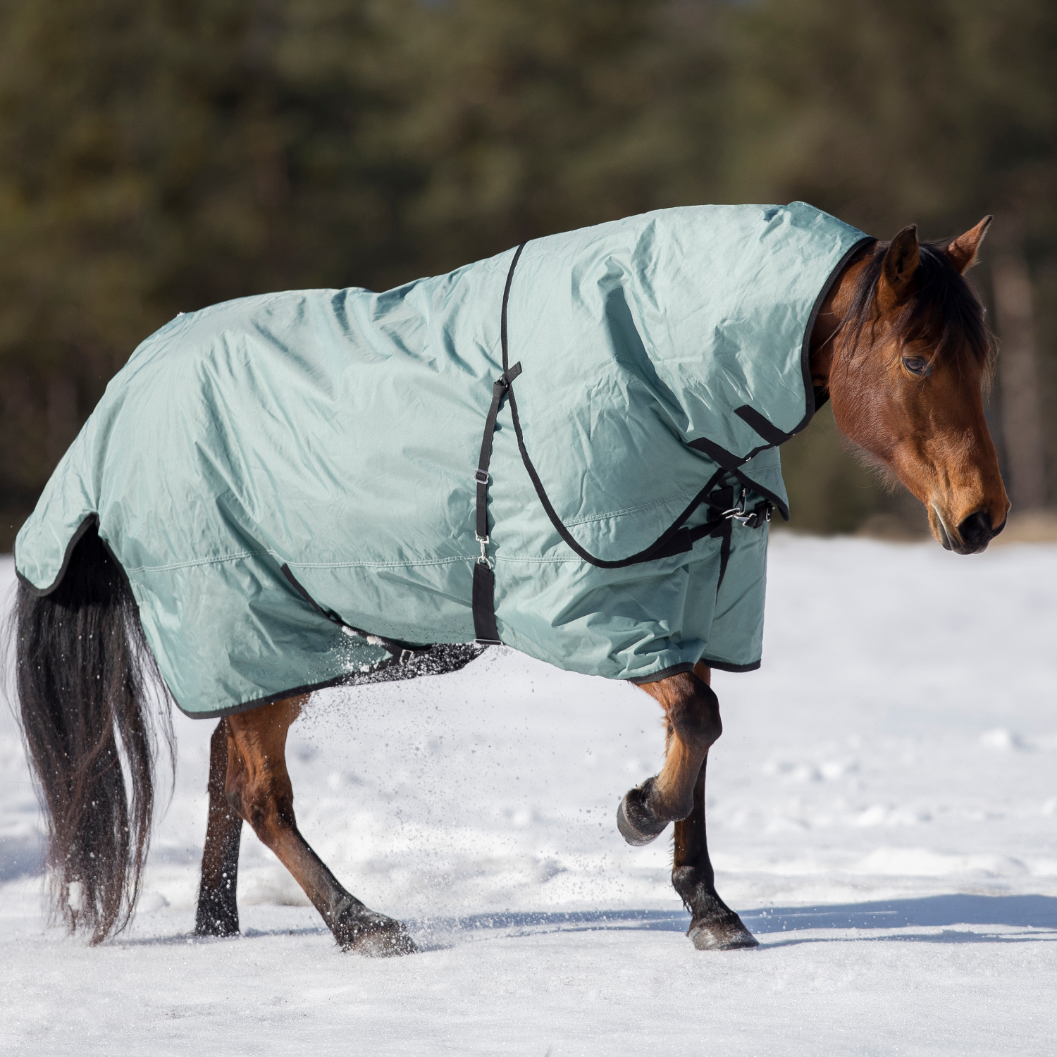 Outdoordecke Flexible Pro 250