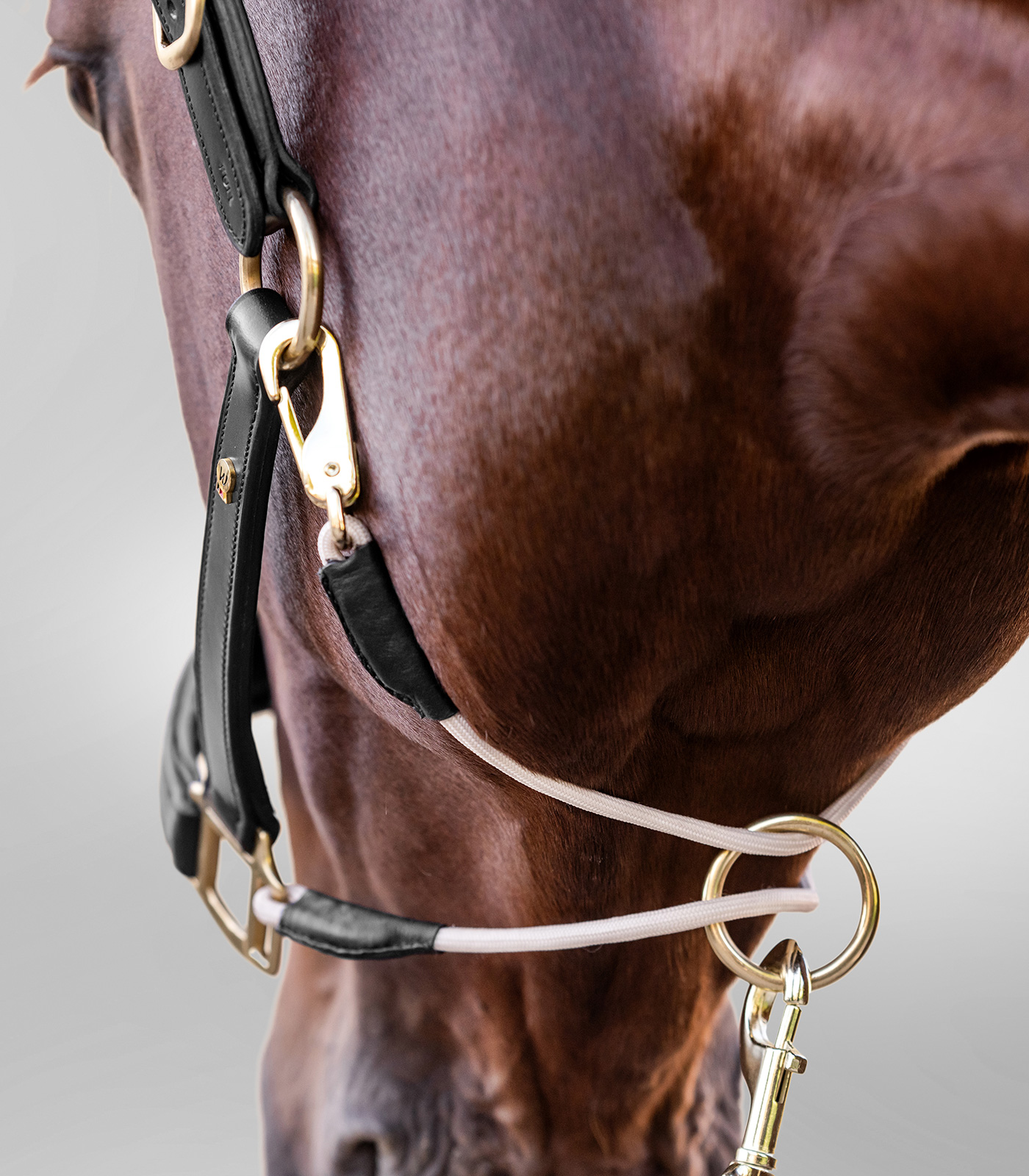 Lederhalfter S-Line Royal