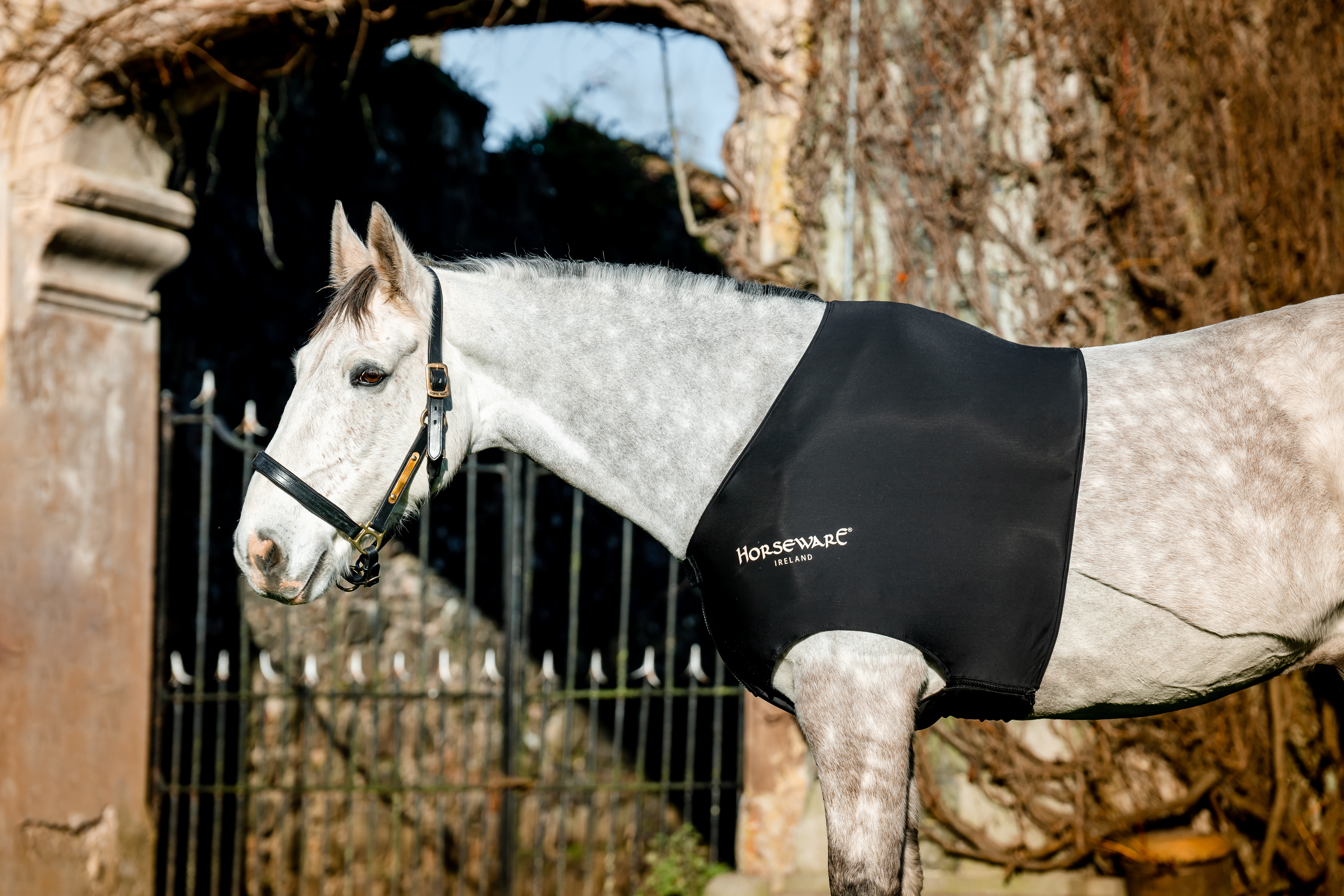 Schulterschutz Rambo Slinky