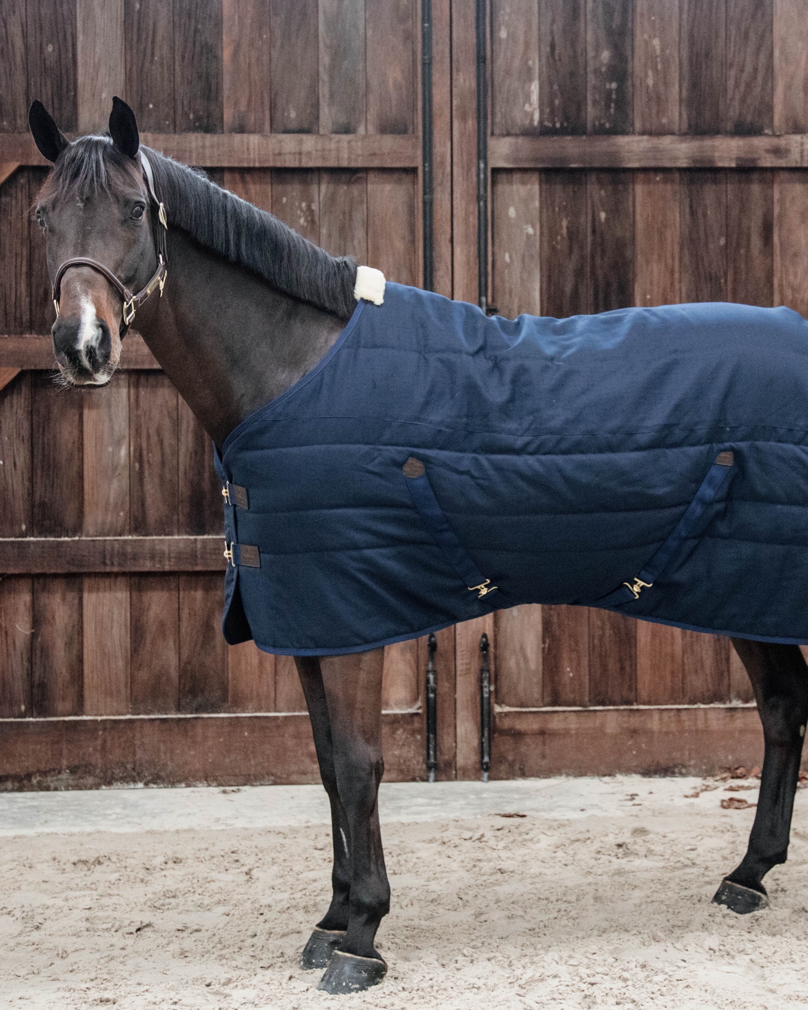 Classic 300g stable rug