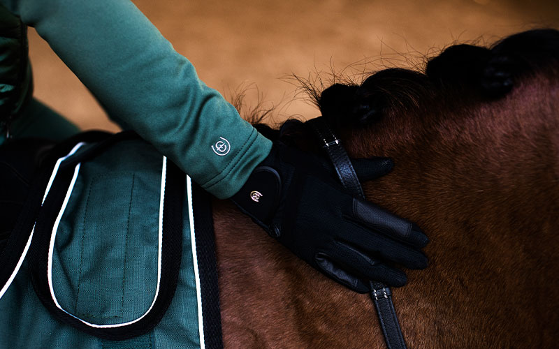 Equestrian Stockholm Equestrian Stockholm