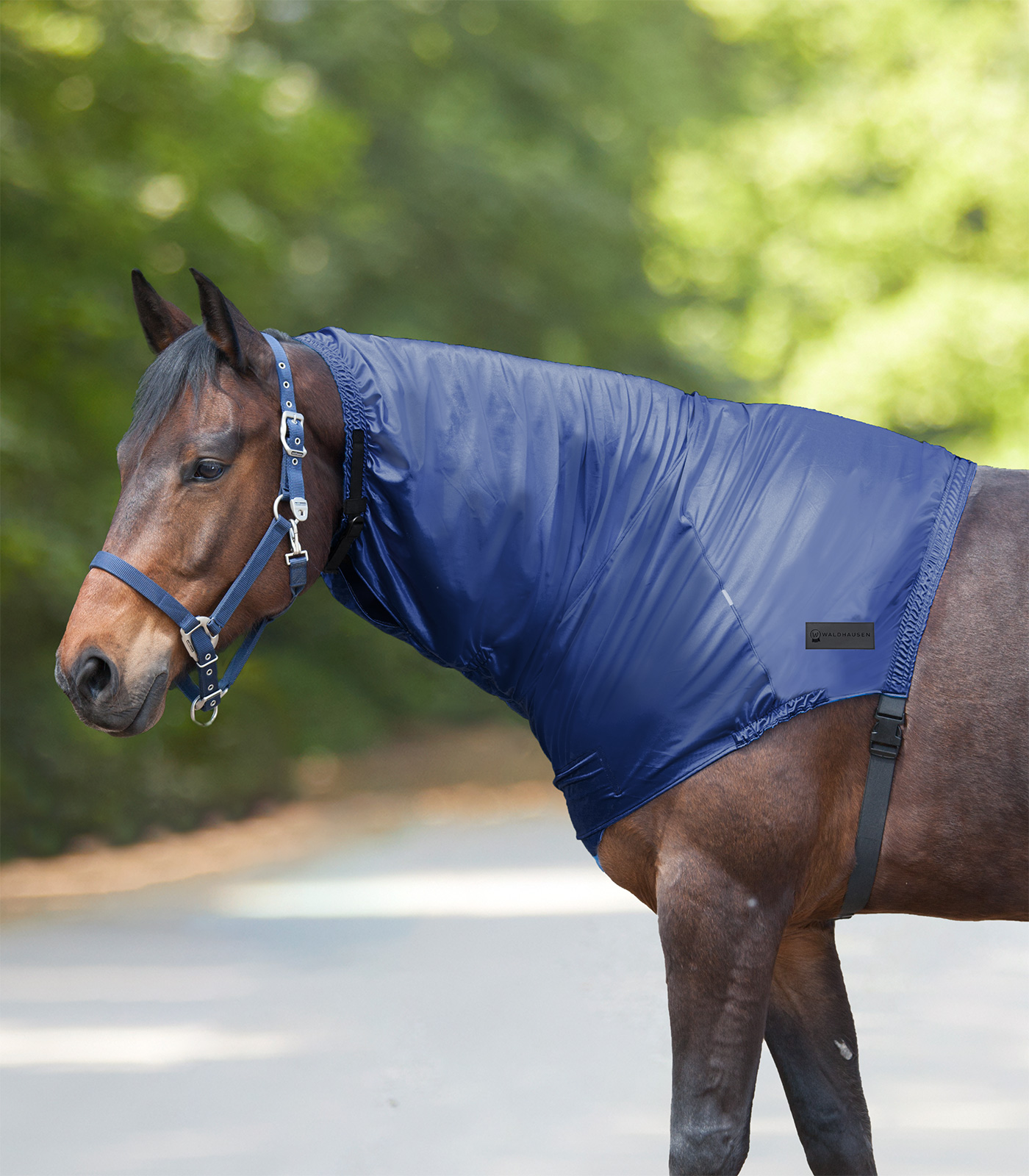 Ekzemer Halsteil Ekzemer Halsteil