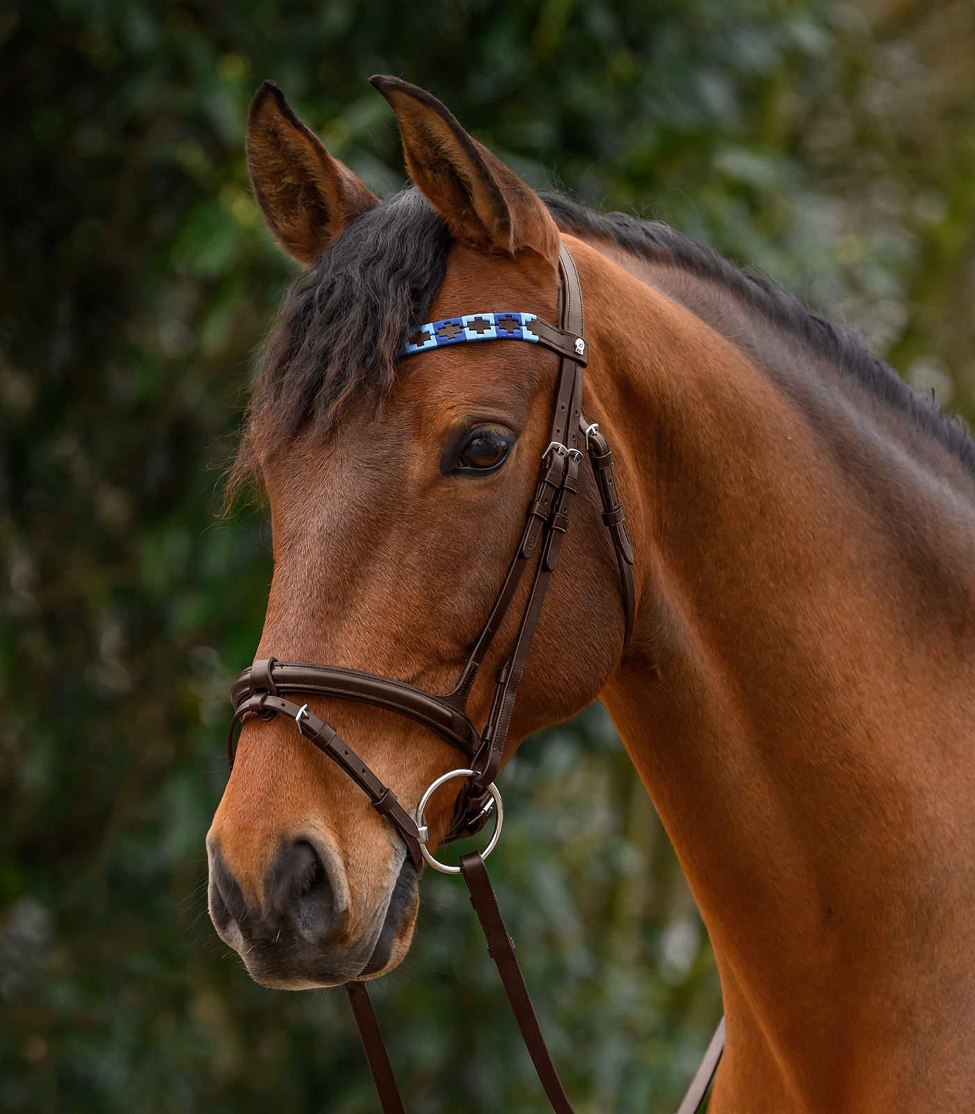 X-Line Browband Polo, brown