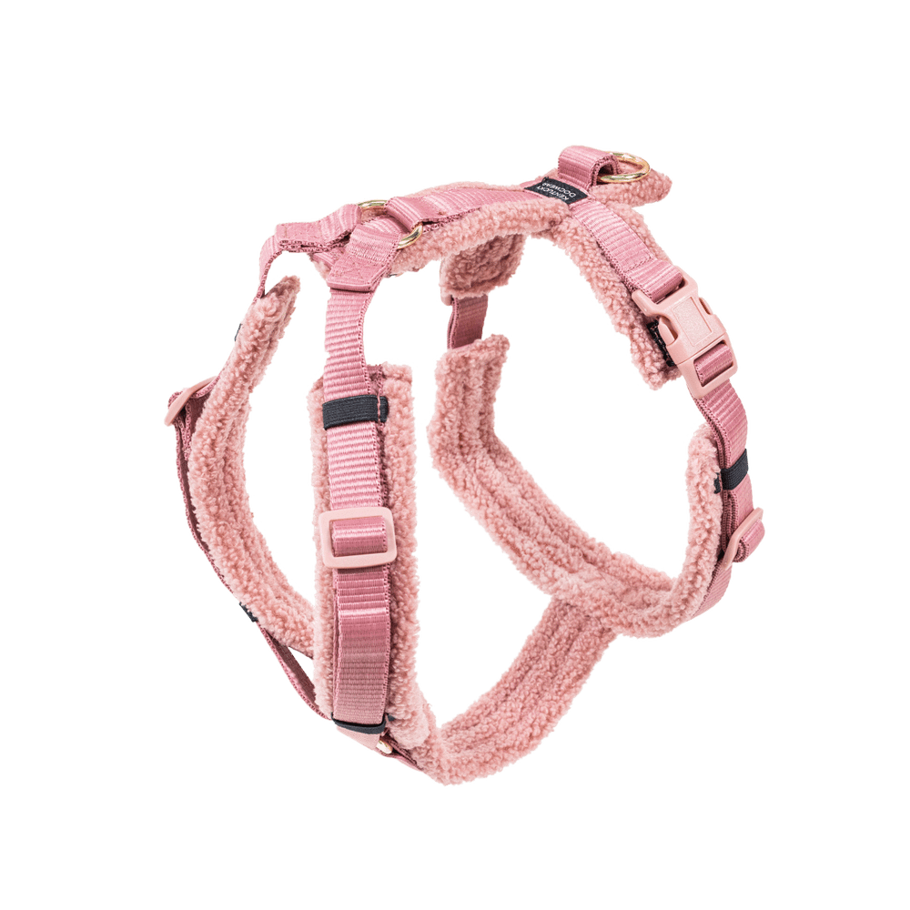 Hundegeschirr Aktiv Teddy Fleece | Kentucky Dogwear