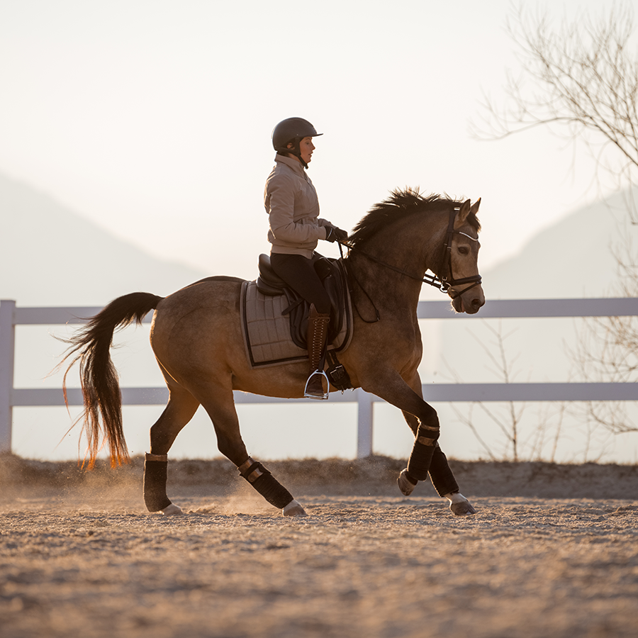 Riding boots Laval Pure Wool in brown