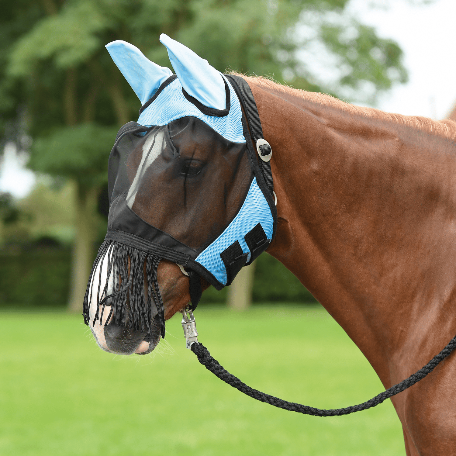 Fliegenmaske Fly Cover Fransen