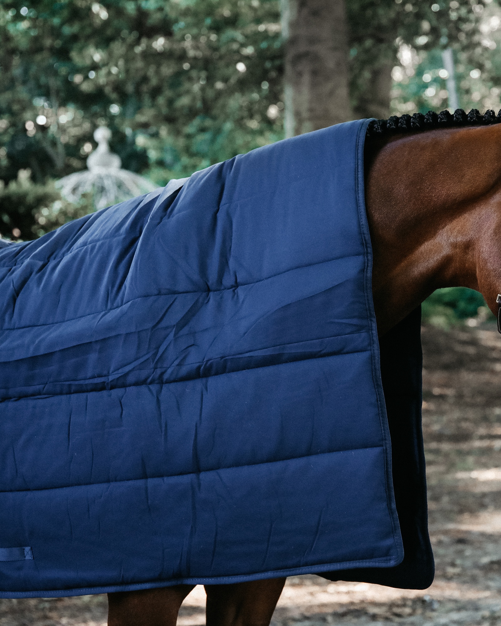 Down duvet horse 300g