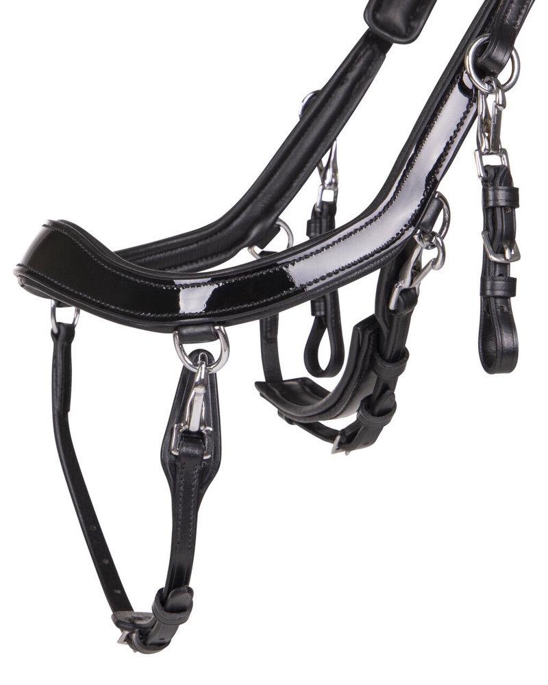 Snaffle FaySport Shine