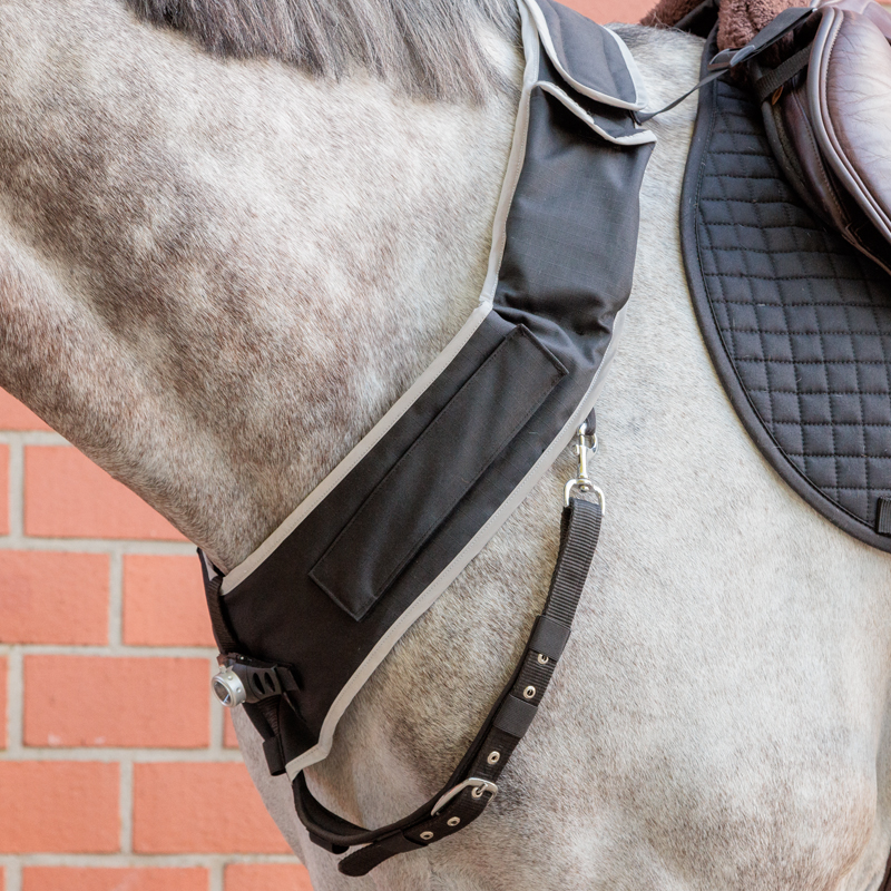 Breastplate "Horselight"-white front light