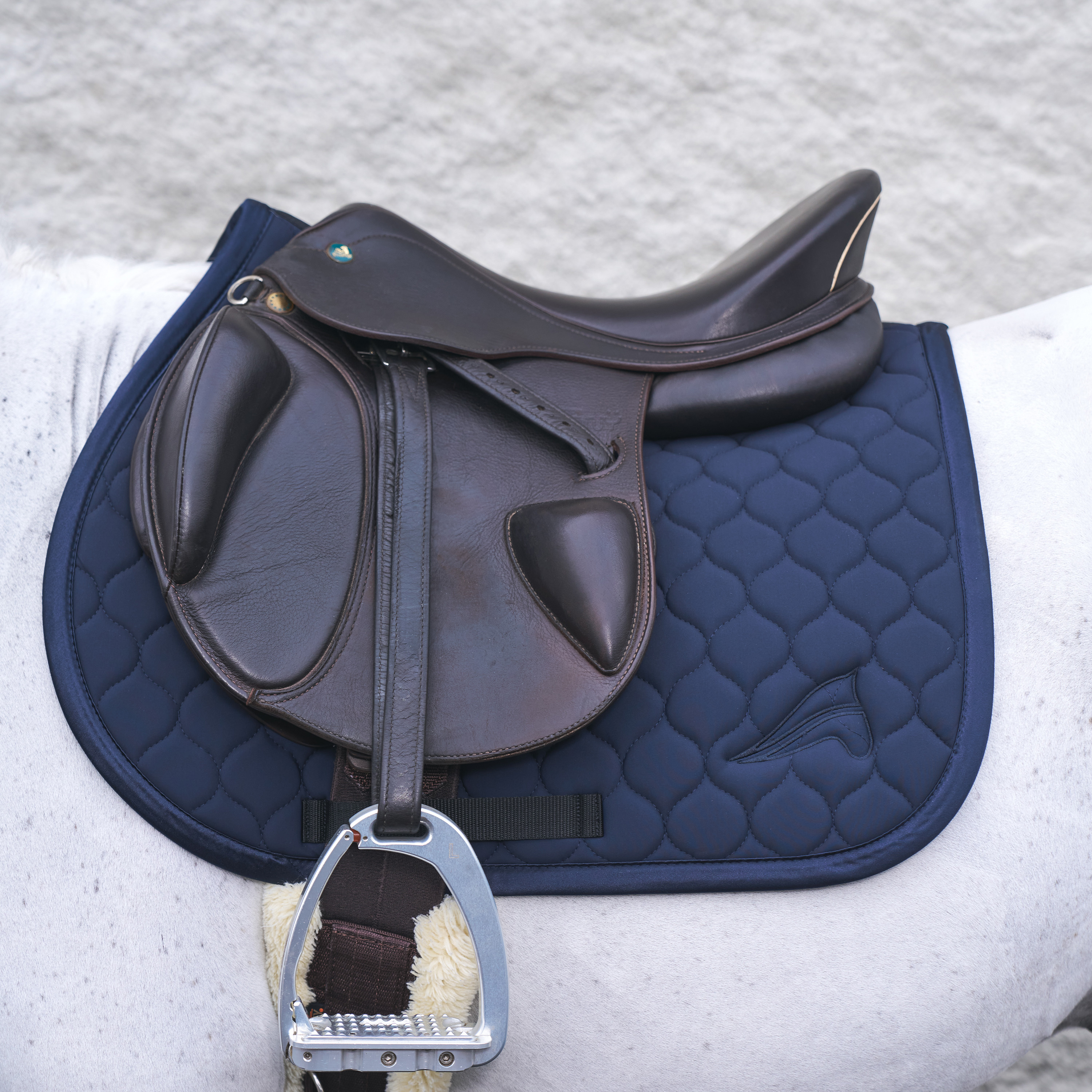 Schabracke Coco GP