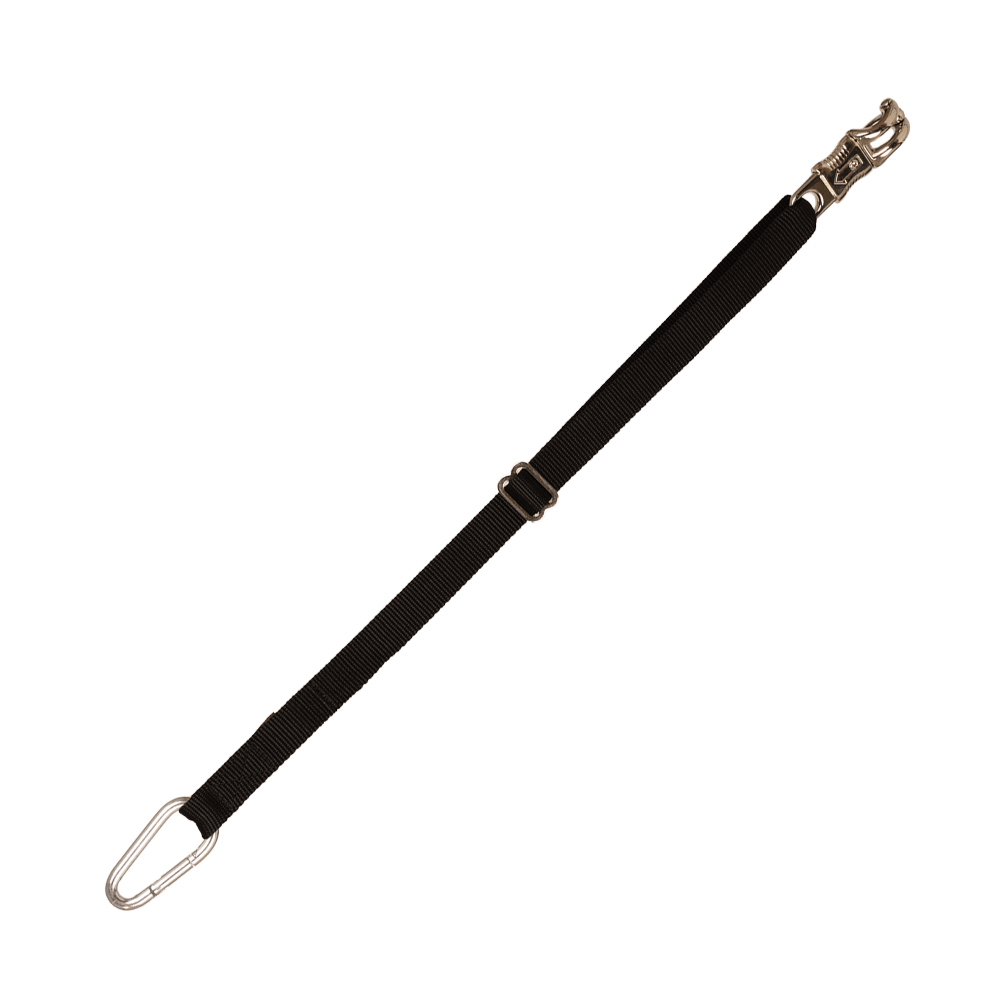 Detachable trailer and wash rack lead with panic hook