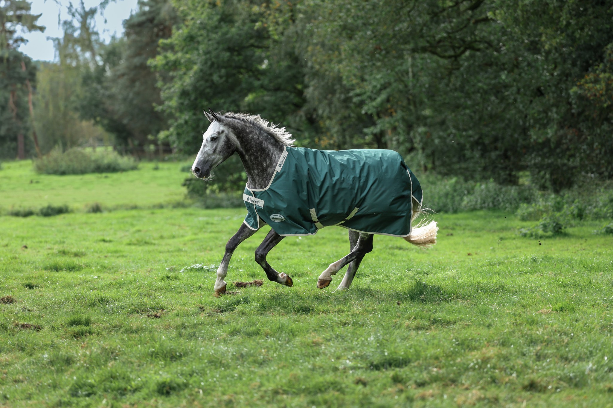 Halsteil Green-Line Combi Neck in Green/cream