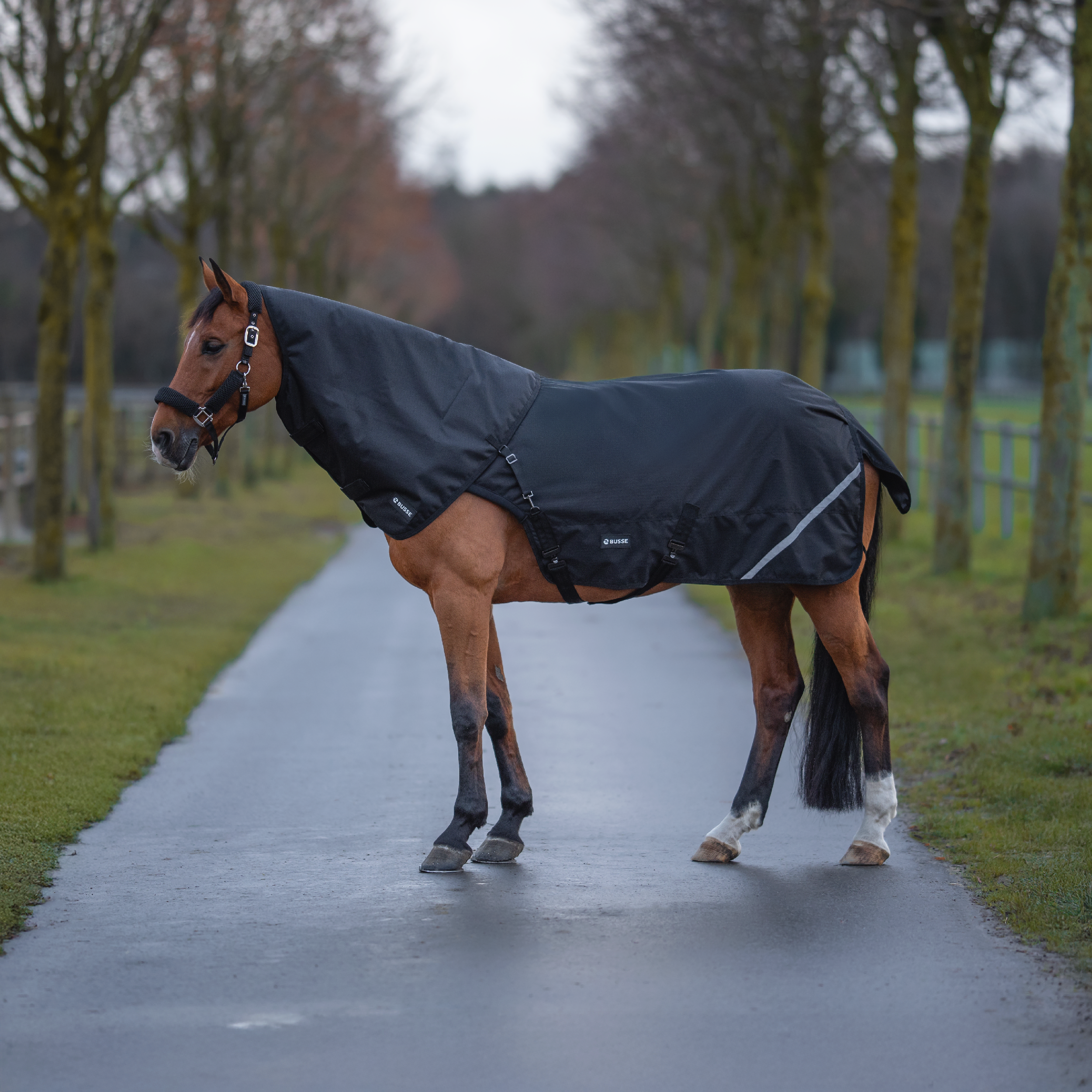 Partie cou couverture d'exercice RAIN BK 50