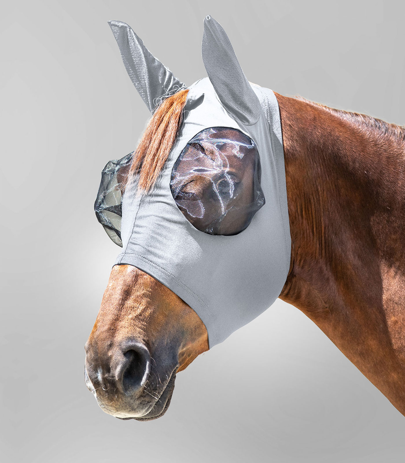 Puck fly mask