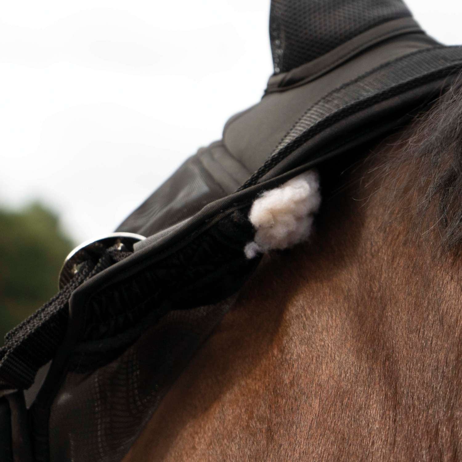 Fly halter Fast