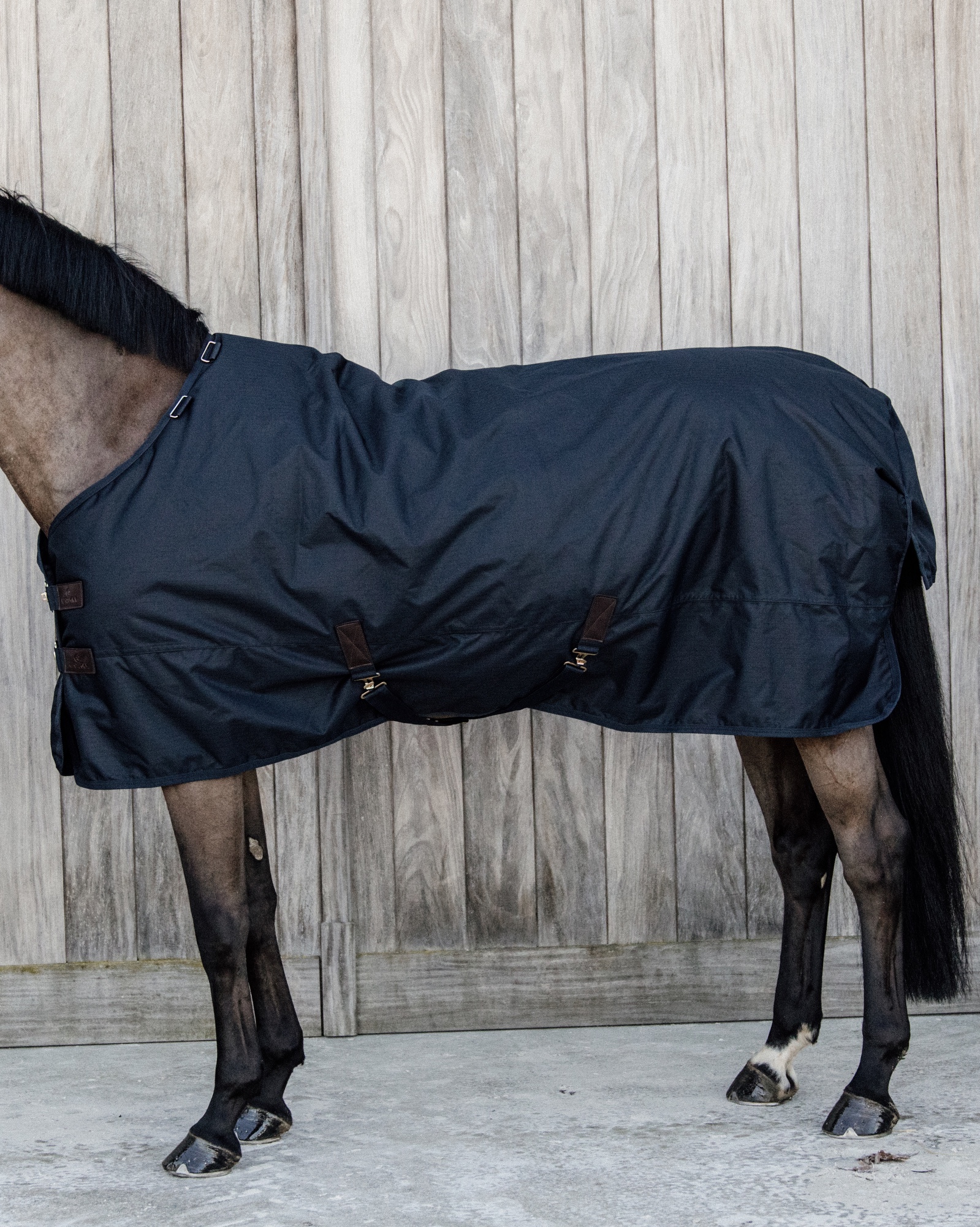 Outdoor rug All Weather waterproof Classic 150g