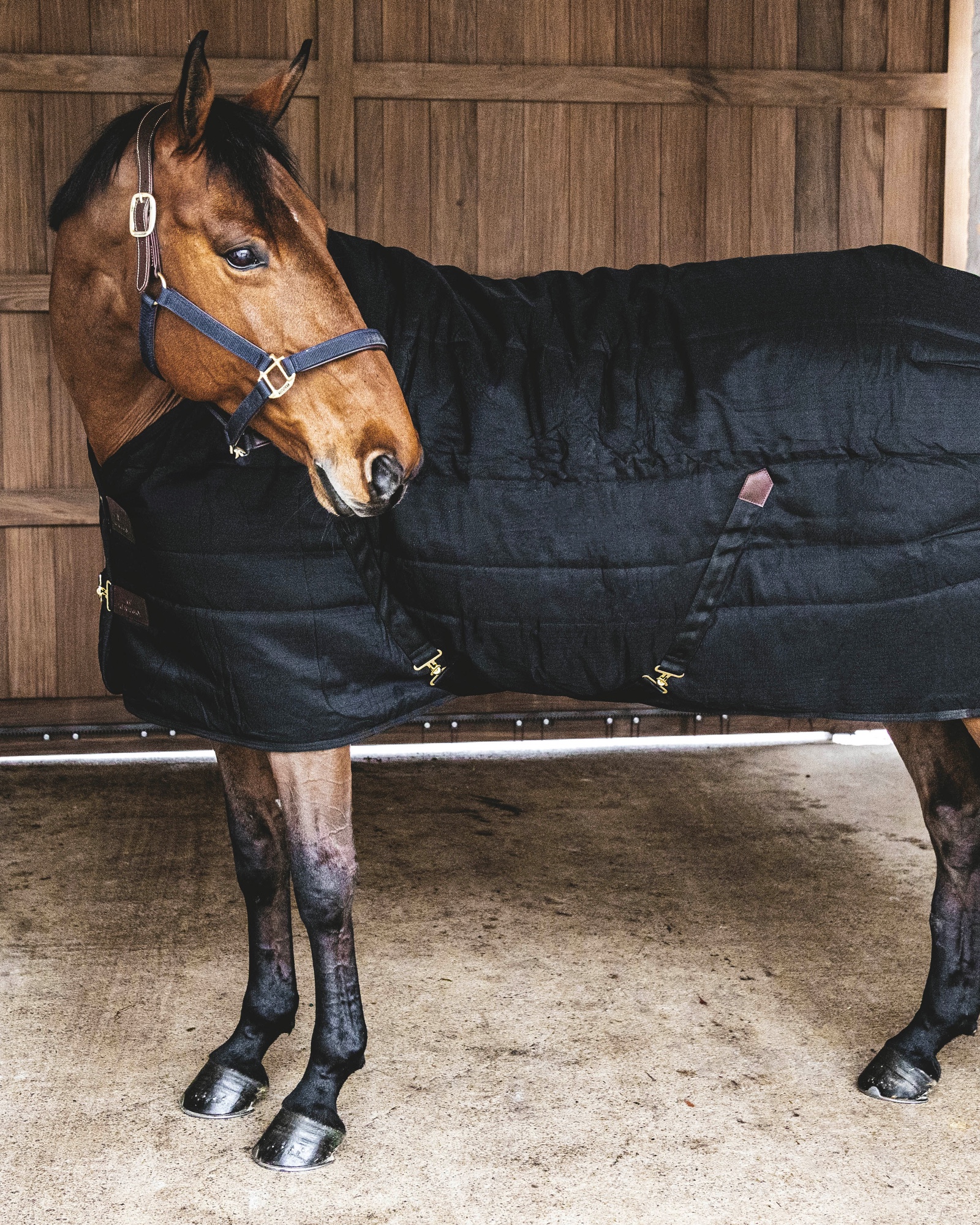 Classic 300g stable rug