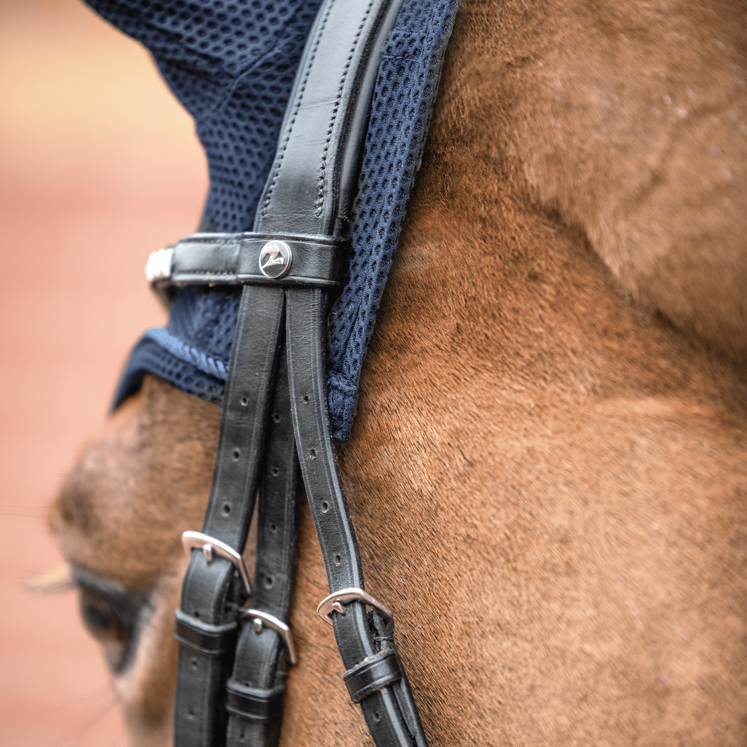 Fliegenohren Fly Air Mesh