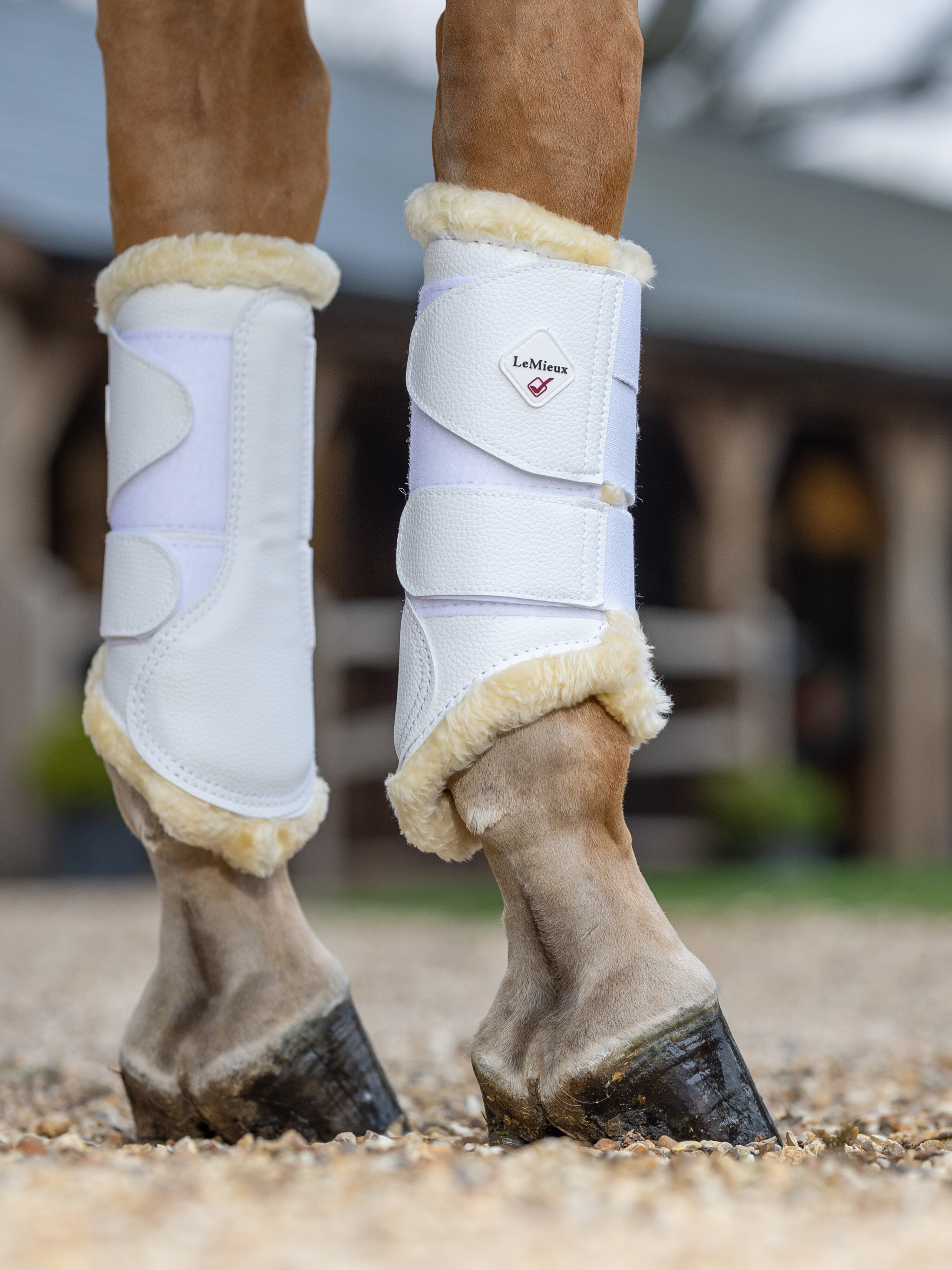 Fleece Brushing dressage boots