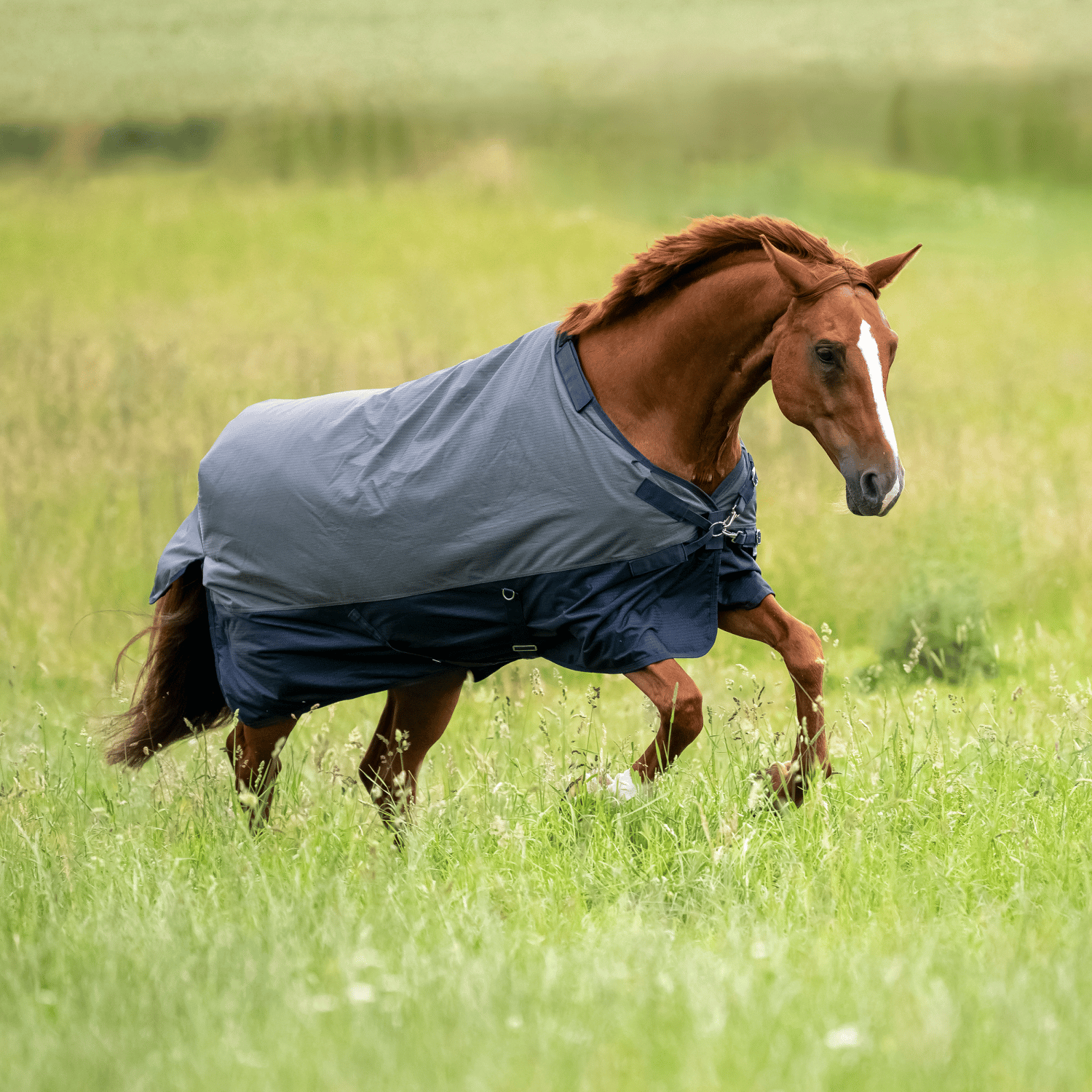 Outdoordecke Active Pro 50