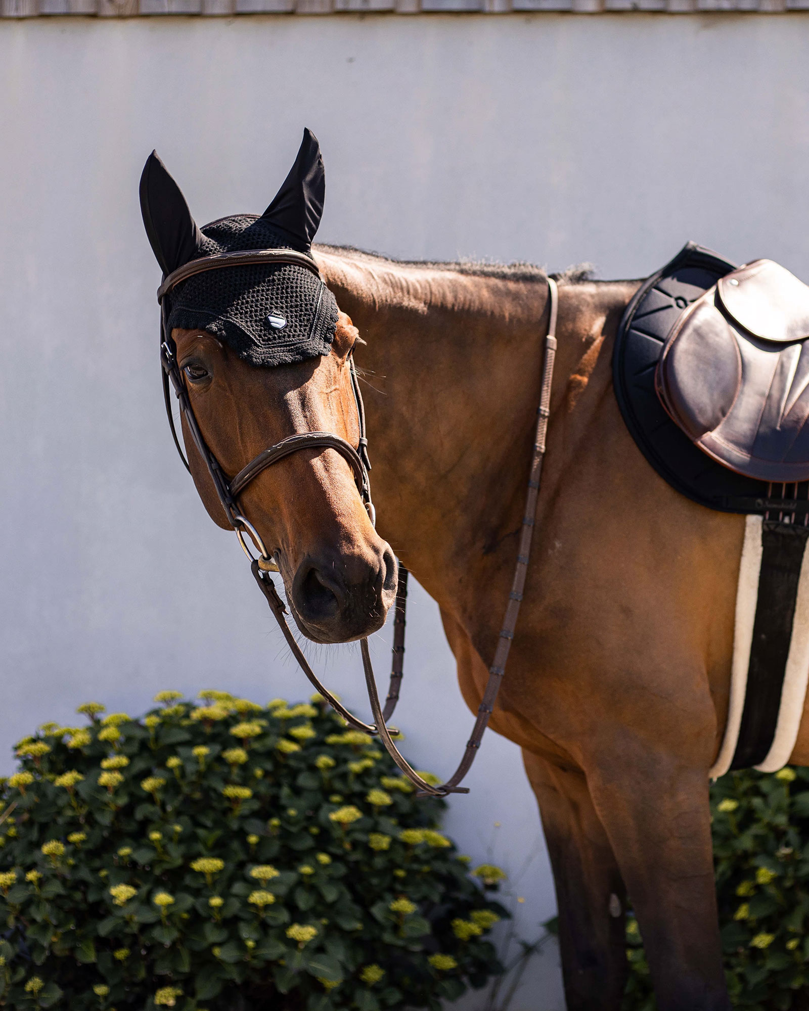 Fliegenohren Embroidery