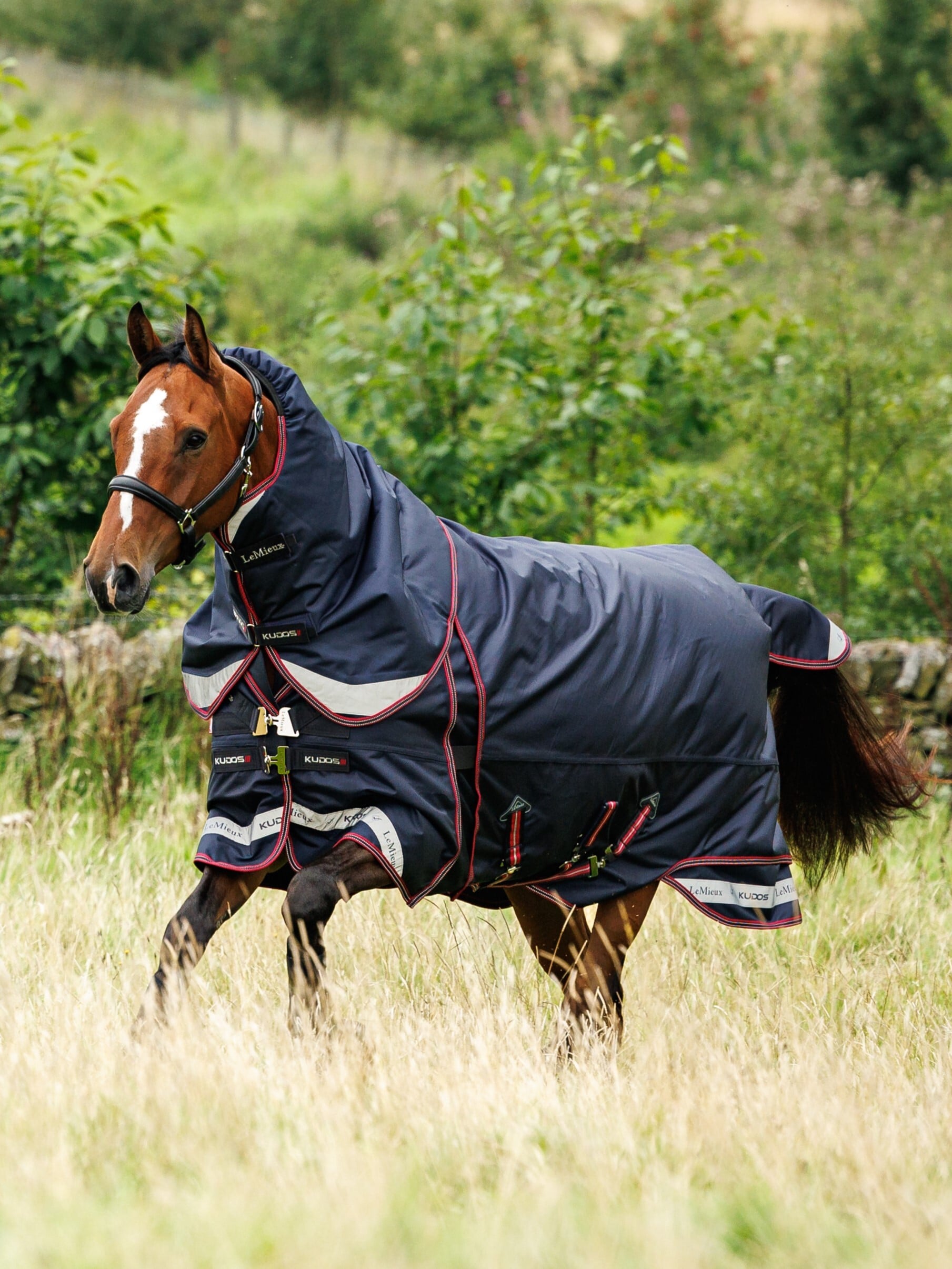 Kudos Thermo Layer Turnout Rug 300g