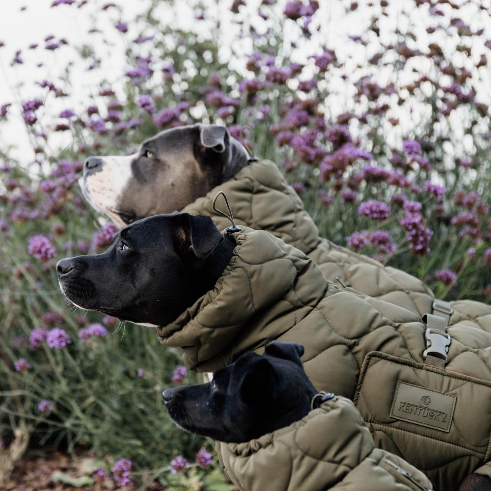 Hundemäntel Winter Pina