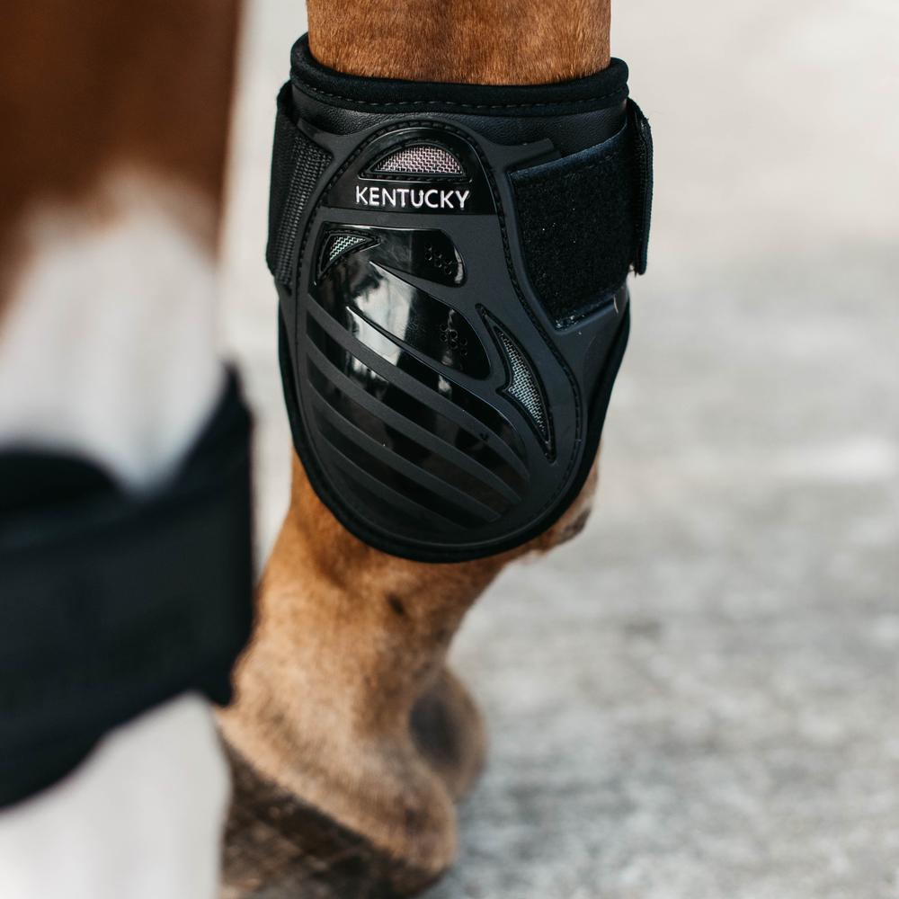 Fetlock boot Young Horse