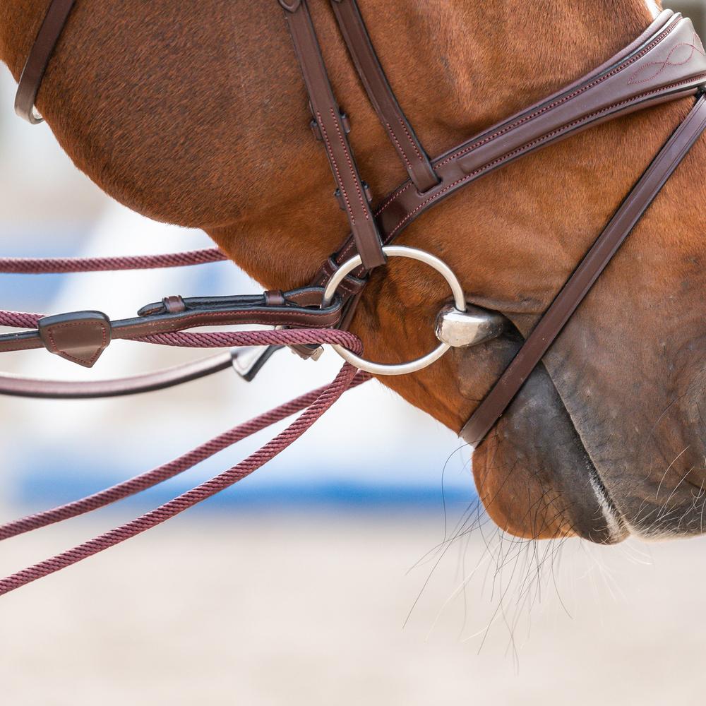 Ausbindezügel Leder/Nylon 5/8"