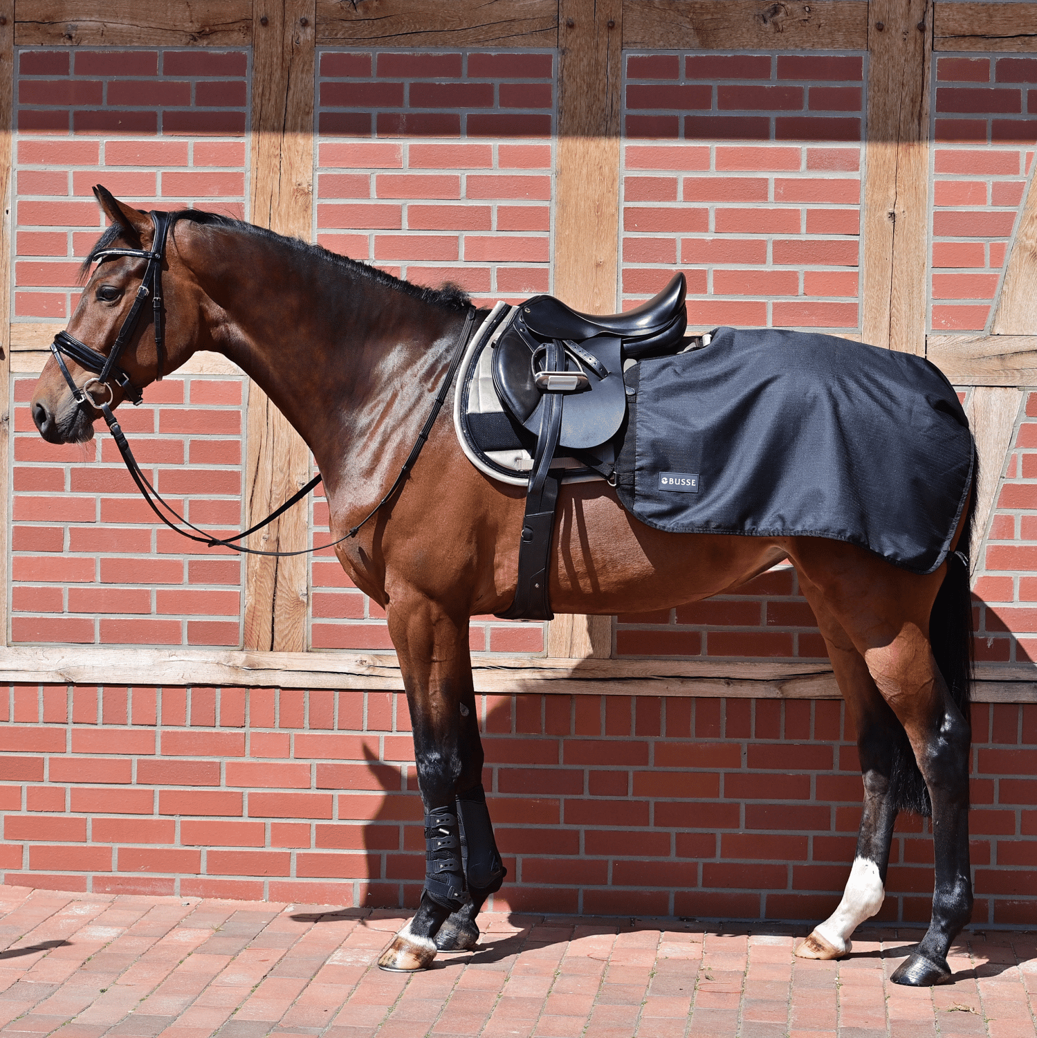 Rain 50 training blanket